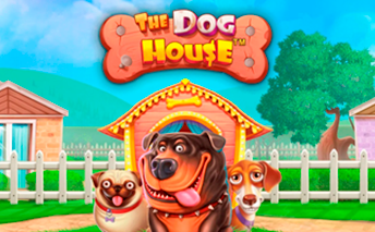 THE DOG HOUSE
